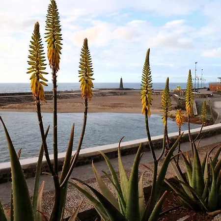 Achimencey In Lägenhet