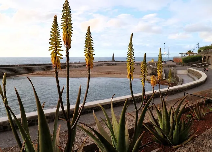 Achimencey In Apartament